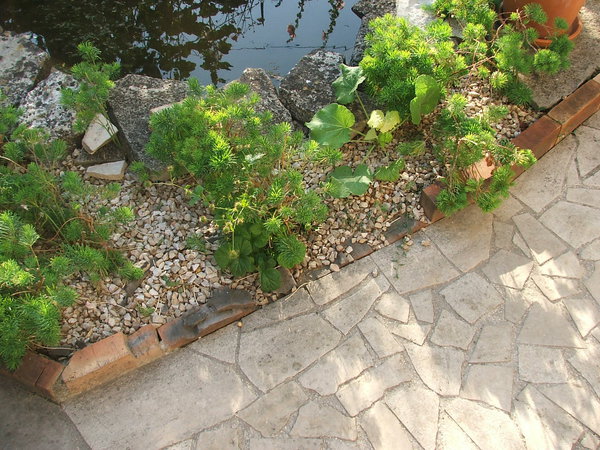 Détail avant de refaire les bordures d’allée de jardin.
