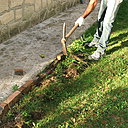 Etape 1 : Piocher l’ensemble de la bordure de l’allée, afin de retirer toutes les briques de la bordure.