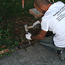 Etape 2 : Pour les briques difficiles à enlever, munissez-vous d’un burin et d’une masse, afin d’enlever l’ancienne bordure.