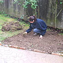 Etape 3 : Désherber : Enlever les mottes d’herbes pour les empêcher de raciner à nouveau. Déposer les mottes dans le compost.