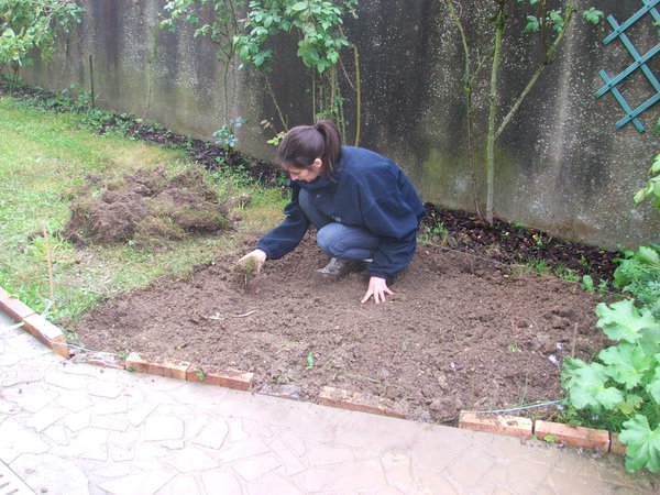 Etape 3 : Désherber : Enlever les mottes d’herbes pour les empêcher de raciner à nouveau. Déposer les mottes dans le compost.