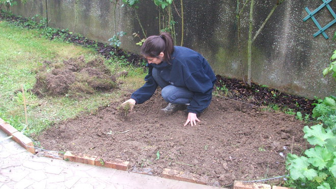 Etape 3 : Désherber : Enlever les mottes d’herbes pour les empêcher de raciner à nouveau. Déposer les mottes dans le compost.