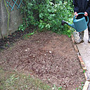 Etape 8 : ARROSER : Arroser en pluie fine, jusqu’à ce que le support de culture devienne brun foncé.