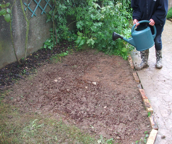 Etape 8 : ARROSER : Arroser en pluie fine, jusqu’à ce que le support de culture devienne brun foncé.