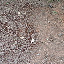 Etape 9 : SUPPORT DE CULTURE : A gauche le support de culture humide, à droite le support de culture sec.