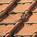 Avant: la mousse s'installe petit à petit sur les tuiles provocant petit à petit des fissures et une usure prématurée.