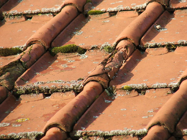 Avant: la mousse s'installe petit à petit sur les tuiles provocant petit à petit des fissures et une usure prématurée.