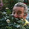Un rosier créé pour Philippe Starck