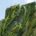 Le mur végétal crée une surface d’isolation entre le bâti et l’extérieur, grâce à son coussin d’air. Il réduit les besoins en climatisation pendant l’été, et en chauffage pendant l’hiver.