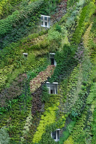 Sur un mur végétal, la nappe d’irrigation agit comme une surface filtrante. Les particules polluantes sont retenues mécaniquement, puis décomposées et minéralisées par les micro-organismes, et finalement absorbés par les racines des plantes.