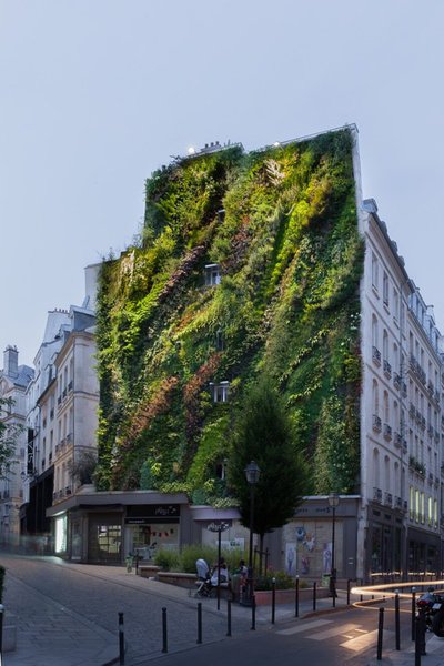 Dans ce tronçon devenu piéton, situé au cœur du triangle Montorgueil, Réaumur Sébastopol et Grands Boulevards, un petit square existait déjà.
