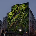 Contrairement à la colonisation anarchique des plantes qui abîment une construction, le mur végétal, abreuvé régulièrement en eau, ne provoque pas de dégradation. Il se développe sur une surface comparable à un rocher moussu, et protège le bâtiment.