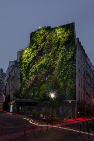 Contrairement à la colonisation anarchique des plantes qui abîment une construction, le mur végétal, abreuvé régulièrement en eau, ne provoque pas de dégradation. Il se développe sur une surface comparable à un rocher moussu, et protège le bâtiment.