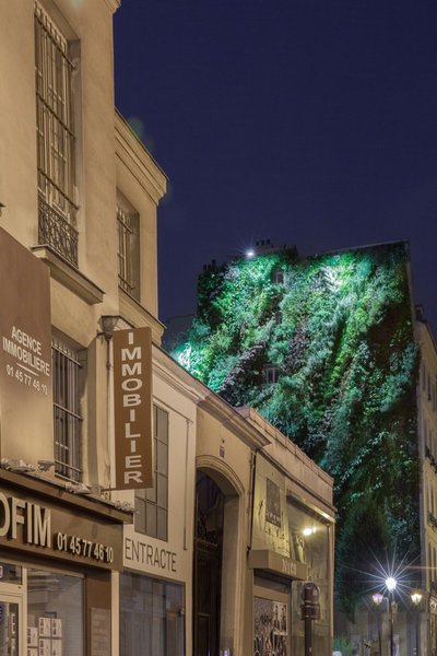 Le mur végétal embellit la ville et les bâtiments les plus modestes tout en dessinant une nouvelle perspective à l’espace urbain.