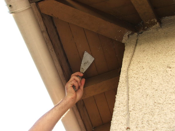 Etape 1 : Effectuer le grattage de l’ensemble des caches moineaux en bois à l’aide d’un riflard, afin de bien enlever les anciennes peintures non adhérentes.