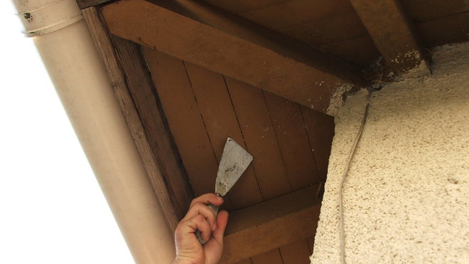 Etape 1 : Effectuer le grattage de l’ensemble des caches moineaux en bois à l’aide d’un riflard, afin de bien enlever les anciennes peintures non adhérentes.