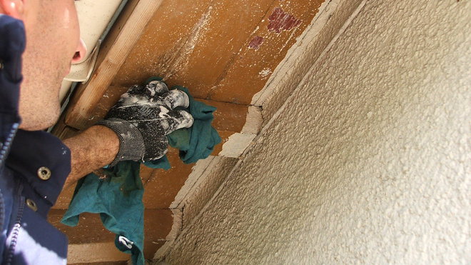 Etape 3 : Bien nettoyer l’ensemble des boiseries des caches moineaux au chiffon propre, enlevant ainsi les poussières de ponçage.