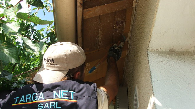 Etape 10 : La mise en peinture commence par le réchampissage des boiseries des caches moineaux avec la façade. Appliquer à la brosse une peinture glycérophtalique microporeuse.