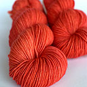 Corail en mer rouge.