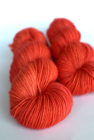 Corail en mer rouge.