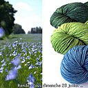 Du bleu et des verts laine teintes artisanalement.
