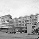 Ancienne cour du lycée Albert Camus : son seul atout, des arbres… Ancienne cour du lycée Albert Camus : son seul atout, des arbres…