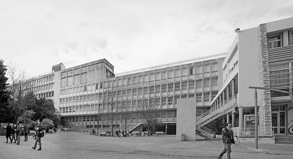Ancienne cour du lycée Albert Camus : son seul atout, des arbres…