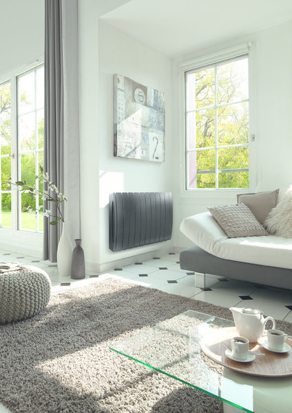 Design contemporain pour les radiateurs Taiga, parfaits dans un intérieur très actuel.