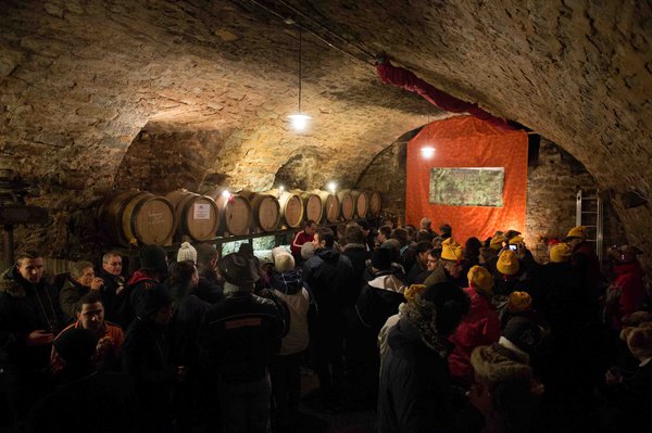 Lors de la fête des vins jaunes du Jura, près de 80 producteurs font déguster leurs vins.