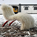 Conçue et faite sur mesure au Danemark, cette chaise est dédiée aux enfants de deux ans et plus. Structure en bois d’érable ou de noyer. Habillage en laine et chanvre, cuir, motifs ou peau de mouton du Tibet. De 535 à 799 €. Chaise Wave, par Utzon Kids sur Björka Design.