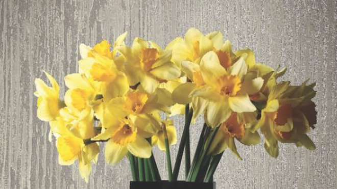 Collection Elan. Ref. 11604. Le rouleau de 10,05 x 0,52 cm : 70 €. Tiffanie Zambaiti. Collection Elan. Ref. 11604. Le rouleau de 10,05 x 0,52 cm : 70 €. Tiffanie Zambaiti.