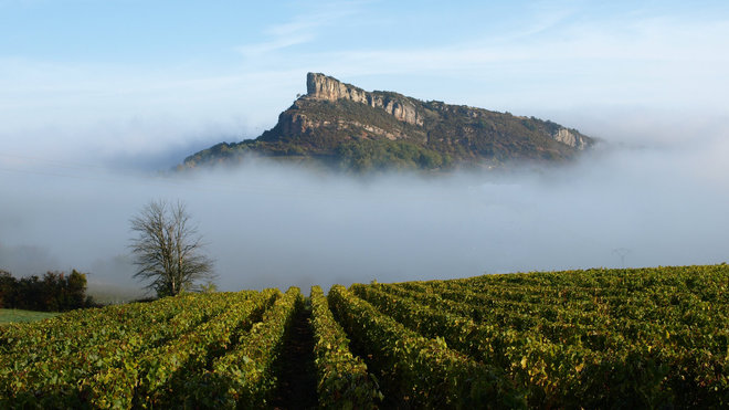 Vue de la célèbre Roche de Solutré des vignes.