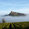 Des vins et des hommes