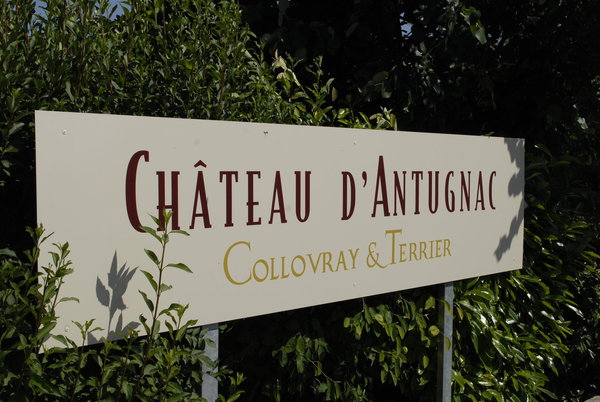 Le domaine du Château d’Antugnac s'étend sur quelques 95 hectares, au sud de Carcassone