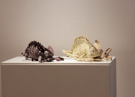 En guest star les drôles de caméléons de Maria Freise.