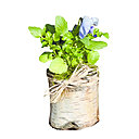 En fion de vie, la bougie bûche peut aussi être recyclée en composition florale qui fera un joli centre de table.