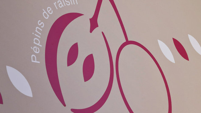 Au-dessus du lit, le décor mural est un clin d’œil aux vignes de la Bourgogne, l’une des particularités régionales.