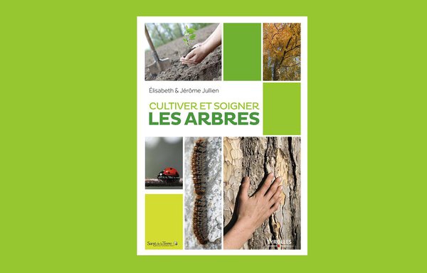 Fondamentaux de l’arboriculture, plantation, entretien et protection phytosanitaire pour 80 genres d’arbres, des feuillus aux résineux d’ornement, en passant par les arbres fruitiers etles arbres forestiers.