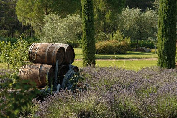 Le parc du Château de Berne est un endroit idyllique où aimeront se promener les amoureux de la nature.