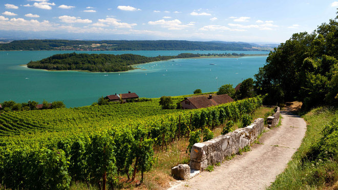Située au milieu du lac de Bienne, l’île de Saint-Pierre est un lieu de repos où a séjourné Jean-Jacques Rousseau.
