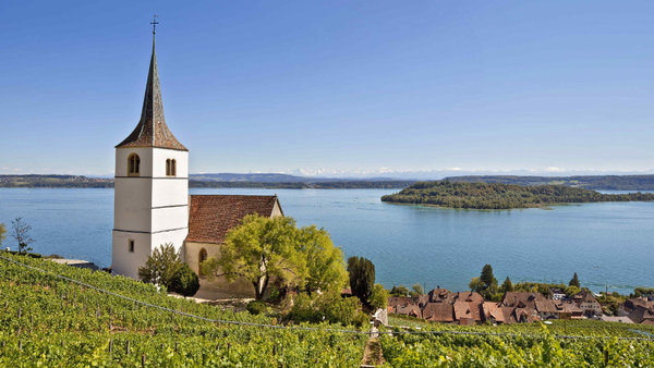 Les rives nord du lac de Bienne faisant partie du Jura, de nombreuses vignes y sont cultivées.