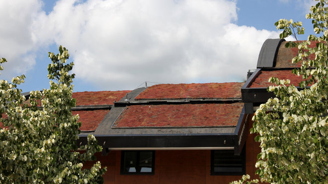 Le dispositif de programmation permet d’arroser avec précision sa toiture végétalisée à tout moment.