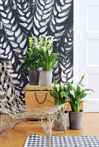 Cette fleur a été rendue célèbre au 19e siècle grâce à une grande série de tableaux réalisée par la peintre américaine Georgia O’Keeffe.