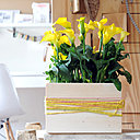 La plantation de la calla se fait au printemps de mars à mai pour une floraison estivale de juin à octobre.