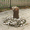 Avant: une vieille souche d'arbre trône au beau milieu de votre jardin; Qu'en faire? L'arracher ou l'exploiter comme piétement de table?