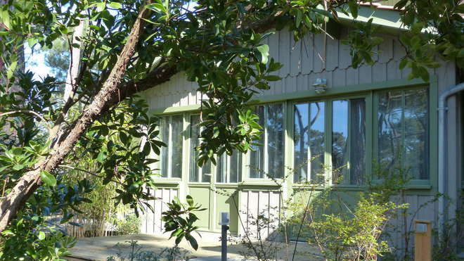 La végétation est restée bien présente sur le terrain des Cabanes du Boque.