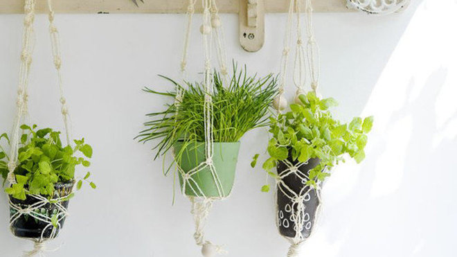 Au lieu d’acheter directement des pots à suspendre, vous pouvez réaliser vous-même des supports en macramé. Au lieu d’acheter directement des pots à suspendre, vous pouvez réaliser vous-même des supports en macramé.