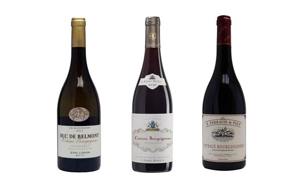 Vins fruités, légèrement tanniques et accessibles, les vins de l’appellation Coteaux Bourguignons s’avèrent une excellente porte d’entrée pour découvrir en douceur les vins de Bourgogne et du Beaujolais.