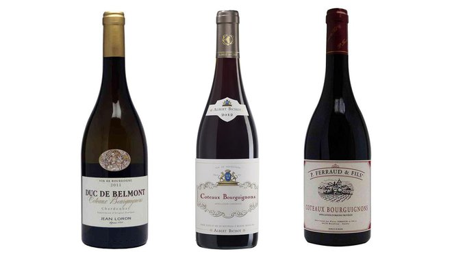 Vins fruités, légèrement tanniques et accessibles, les vins de l’appellation Coteaux Bourguignons s’avèrent une excellente porte d’entrée pour découvrir en douceur les vins de Bourgogne et du Beaujolais.