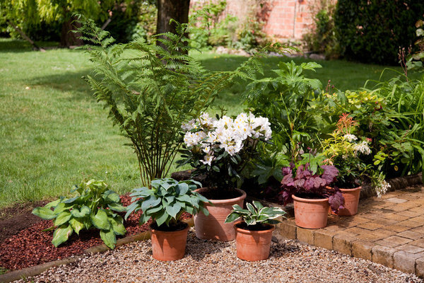 Orner une terrasse de végétaux la rend tout de suite plus vivante et accueillante.